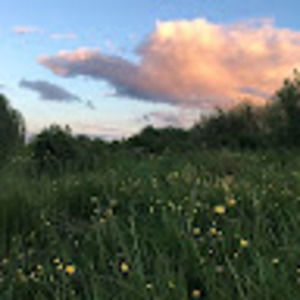 Meet your Posher, Dinah